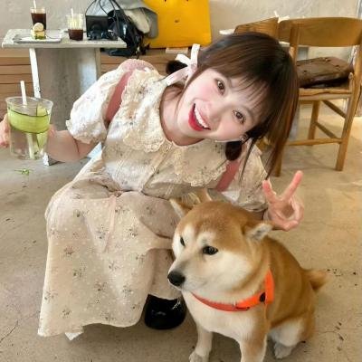 我的青春路过你的锦年
