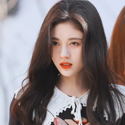 大象与小蝶物语